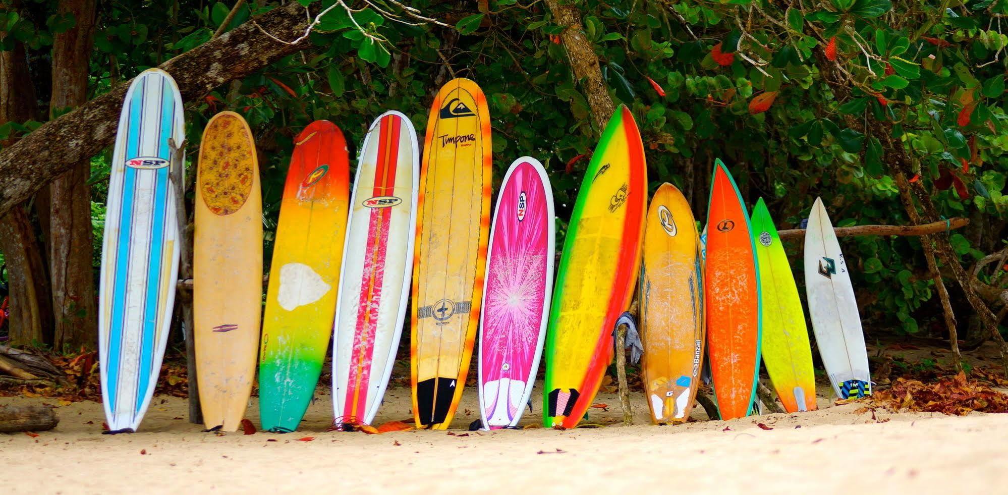 Physis Caribbean Bed & Breakfast Puerto Viejo de Talamanca Exteriér fotografie